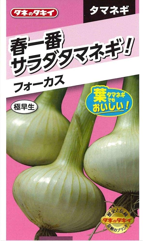Amazon | タキイ種苗 春一番サラダ玉葱 フォーカス | 野菜