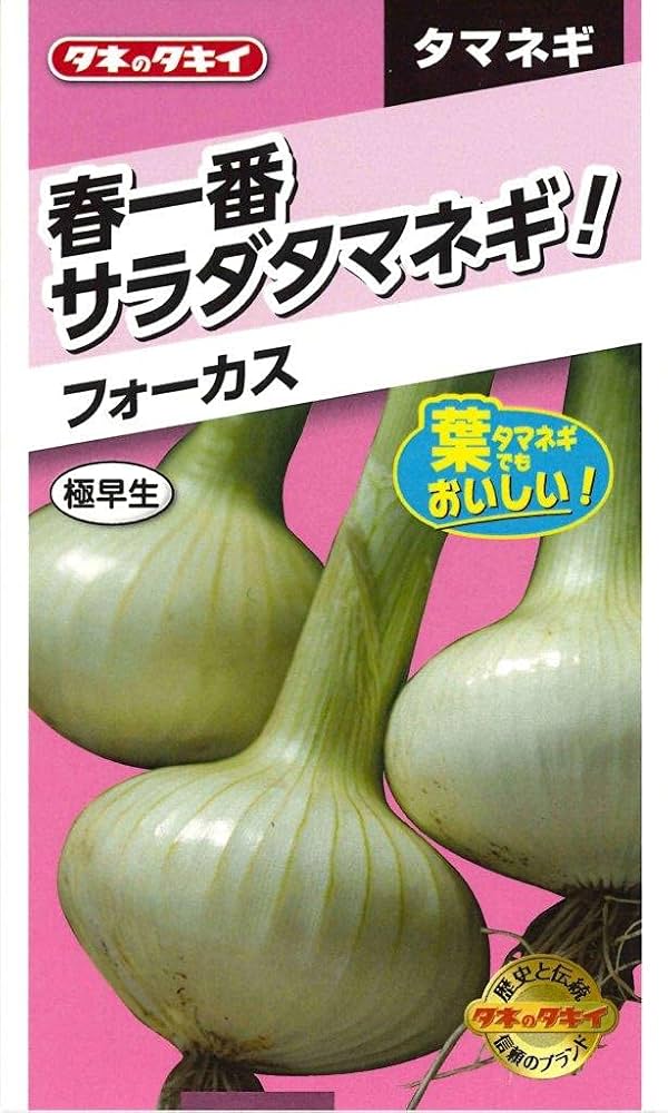 専用 タマキ ★2 Amazon | タキイ種苗 春一番サラダ玉葱 フォーカス | 野菜