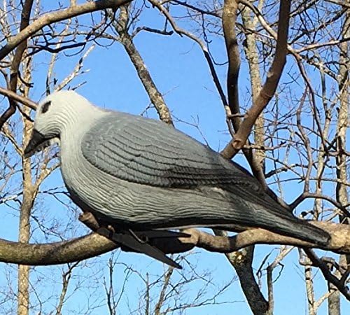 Dove Decoys Clip On Pack of 6 Great for luring Doves