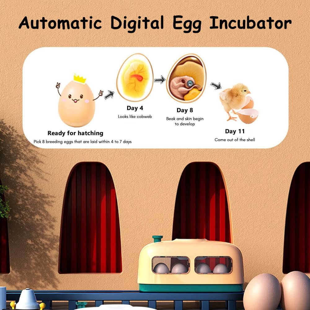 Mini-Digital-Ei-Inkubator, Geflügelbrüter, automatischer Temperaturregelungs-Inkubator mit LED-Licht für Hühner-, Enten-, Vogeleier