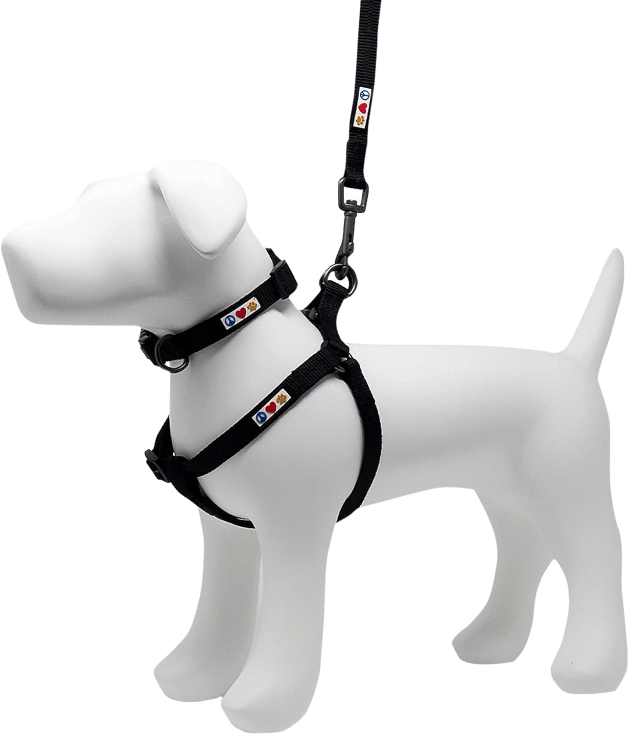 Pawtitas Value Bundle Set Extra Small Step in Dog