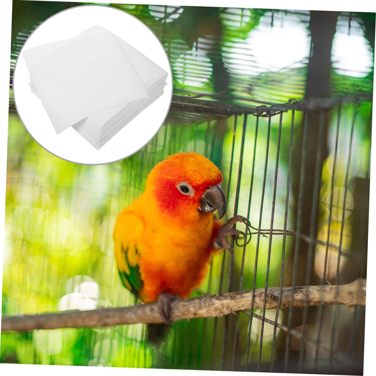 300Pcs Pet Parrot Cage Liner Mats Disposable Absorbent Square Liners for Bird Cages Lightweight Non Woven Fabric Pads for Easy Cleaning and