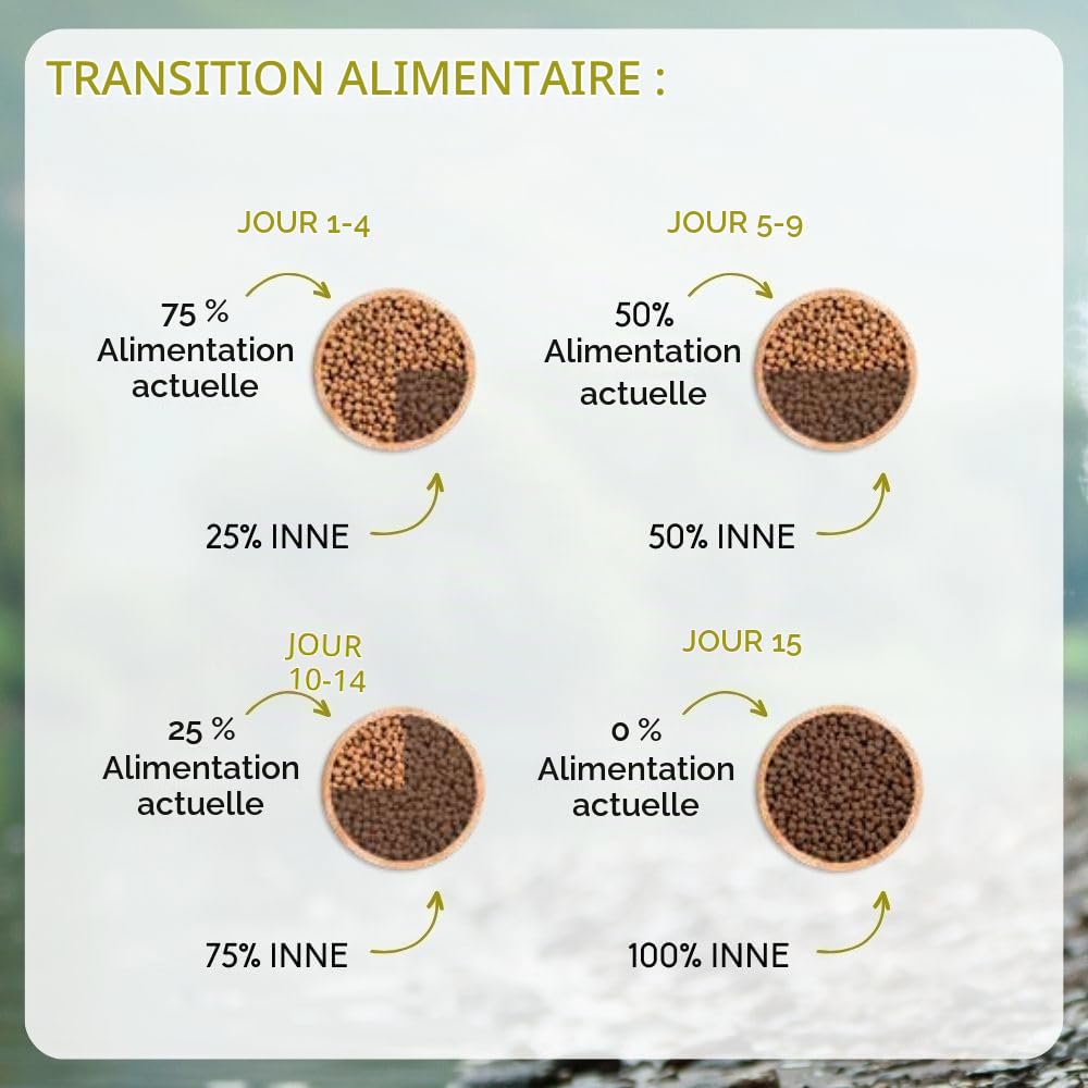 NUTRIVET - INNE Chien - Croquettes sans Céréales - Chien Adulte stérilisé ou en surpoids- Volaille - 80% d'ingrédients d'origine Animale - 12 kg