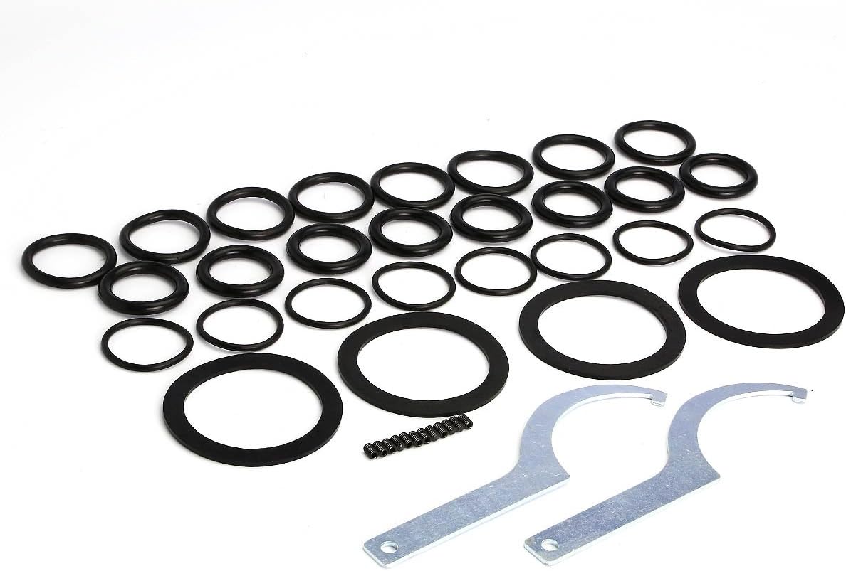 Auto Dynasty Scaled Adjustable Suspension Lowering Coilover Coil Spring Compatible with Honda Civic Coupe/Sedan 01-05, 4-Pieces, Blue Spring