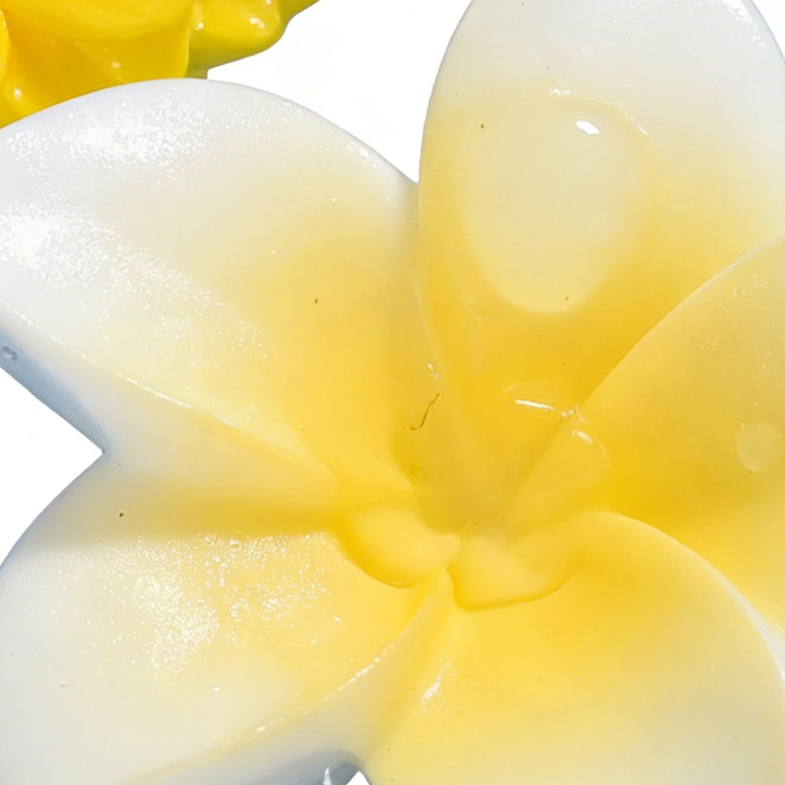 8-teiliges Bienentränke Set, schwimmende Harz-Blumen als Insektentränke, blumenförmige Wasserstation ideal für Garten, Terrasse und Balkon Deko