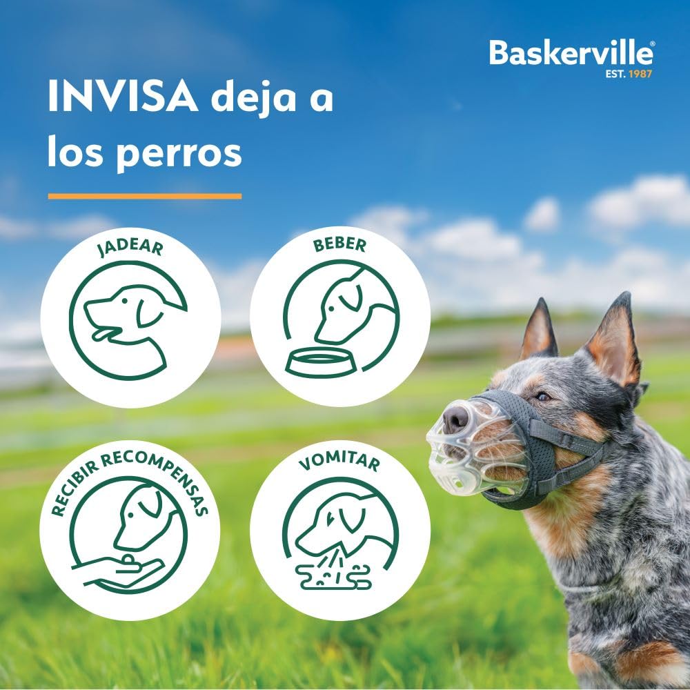 BOZAL BASKERVILLE INVISA - Diseño respetuoso patentado y seguro. Permite jadear y beber, ajustable y acolchado, adiestramiento para perros pequeños, impide morder y hurgar comida (Talla 1)