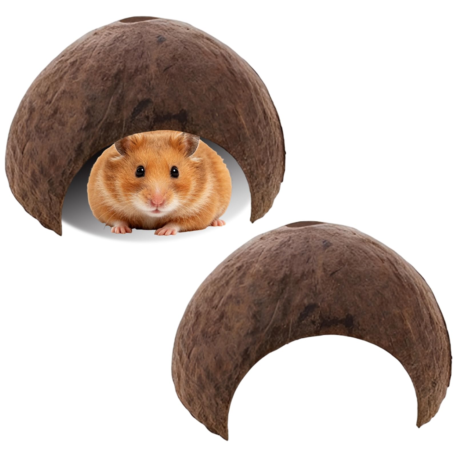 Hamster Hides, Coconut Hide and Ceramic Hamster Hide, Natural Habitat Enrichment for Reptiles and Small Pets, Creating Breeding Shelters and Temperature-Regulated Microhabitats
