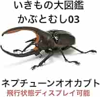 いきもの大図鑑　ネプチューンオオカブト 人気のネプチューンオオカブトが新規造形＆リアルな彩色で登場