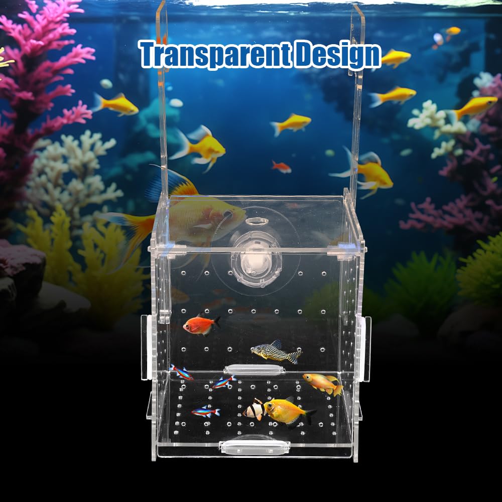 10 × 10 × 10cm Allevamento per Acquario con Ventosa, Mini Terrario per Insetti, Piccola Acrilico Scatola di Allevamento, Trasparente Sala Parto Acquario, per L'isolamento, la Schiusa, la Piscicoltura