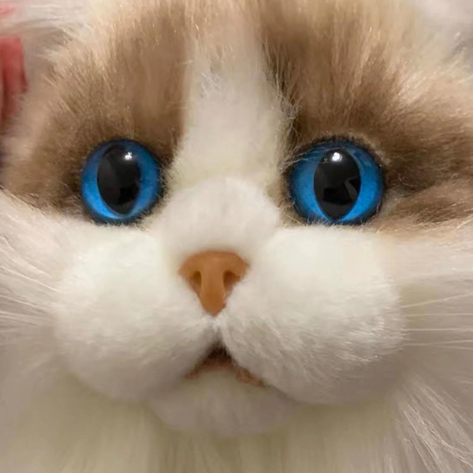 Realistyczna zabawka ragdoll kot, śliczna pluszowa zabawka
