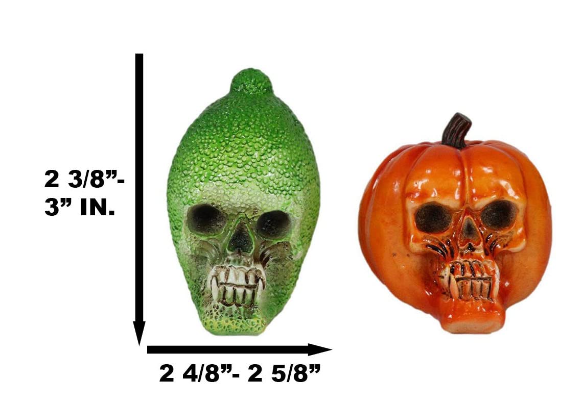 Amazon.com: Ebros Gift Vegetable Healthy Salad Fruit Produce