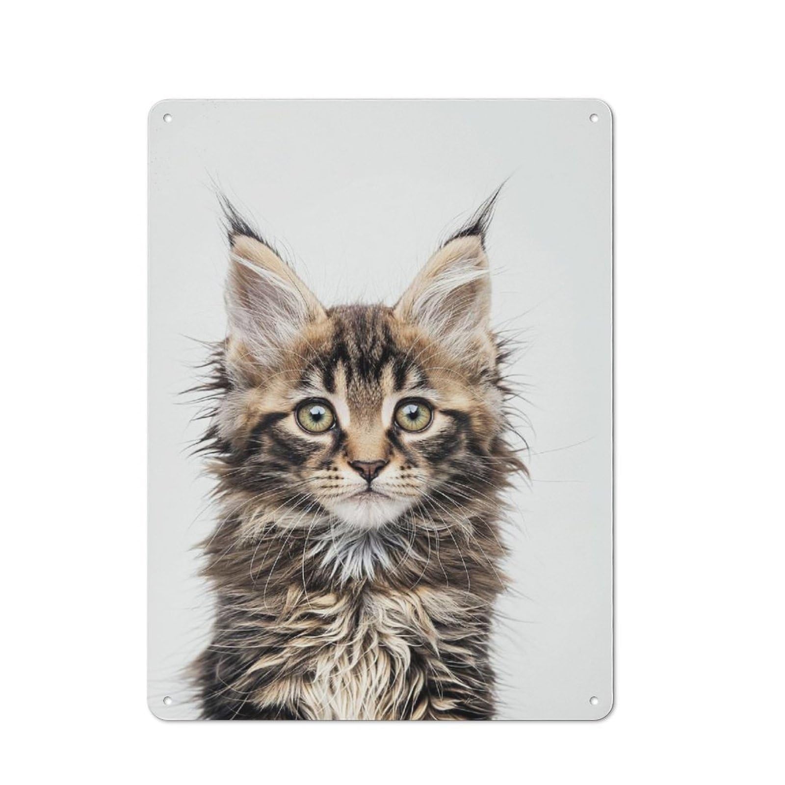 Junmoney Style-16 Cute Baby Main Coon Cat Printed Metal Sign 40X30cm For Lounge Or Reading Corner, A Winter Wall Decor Update For Reading Corner Decorators