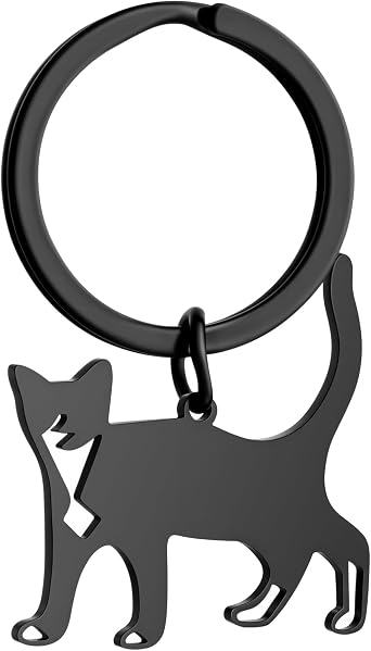 XIANNVXI Cat Keychain Gifts for Women Black Cat Gift Cute Key chain Funny Keychain Gifts for Cats Lovers