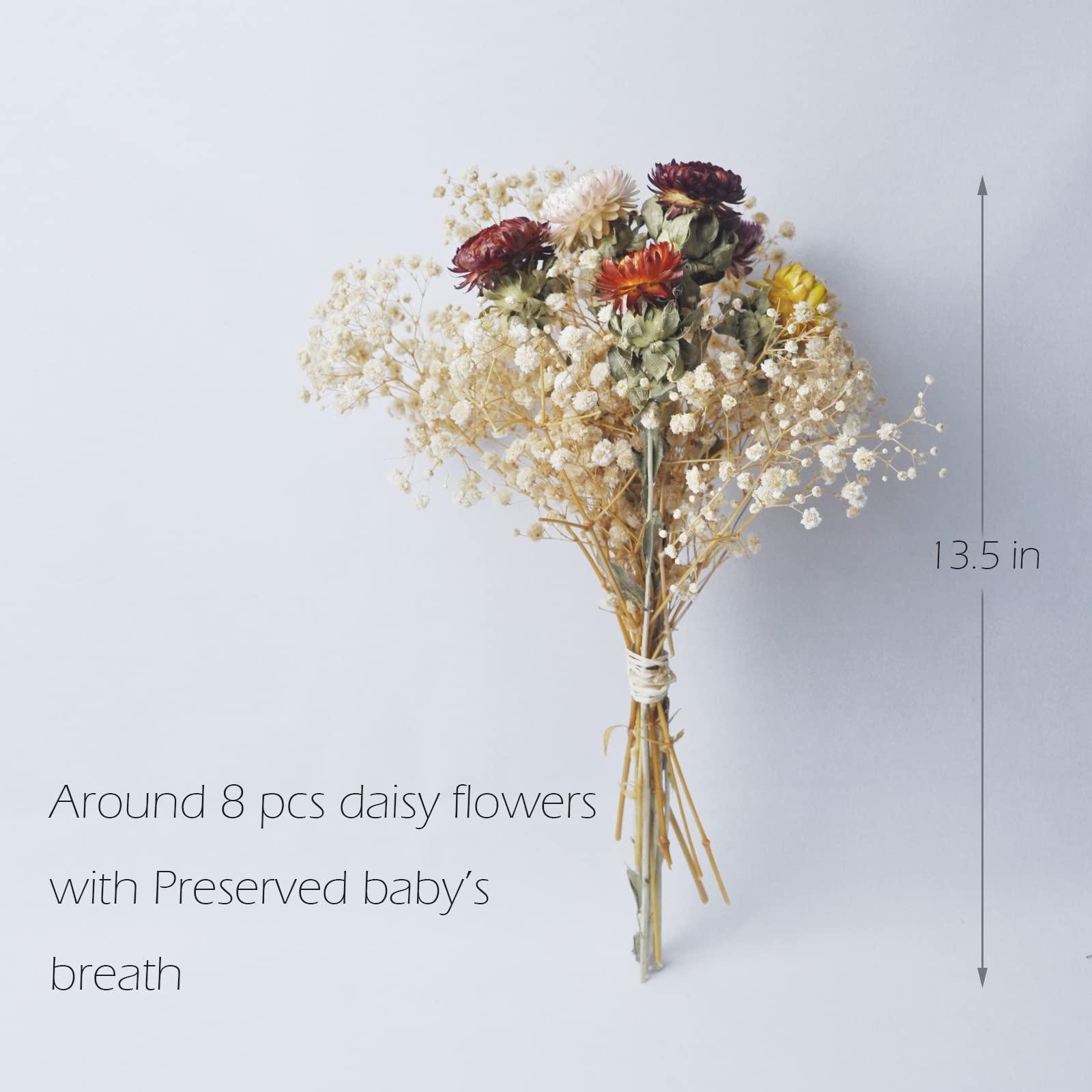 L'BREVOGA Bouquets de fleurs séchées, 100 % fleurs naturelles pour décoration de vase, fête à la maison (marguerite)