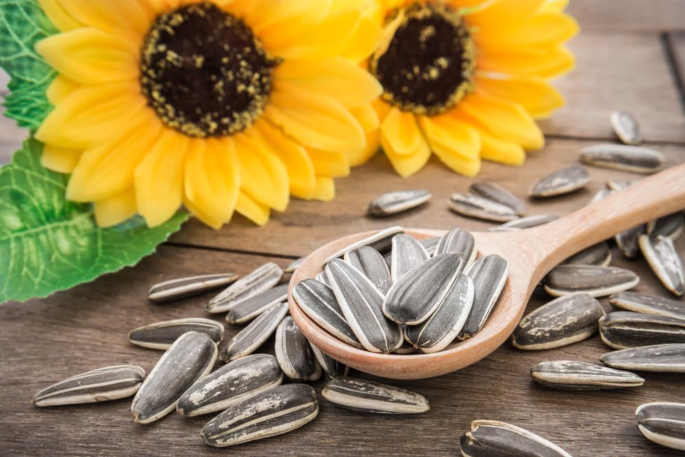 Sunflower Seeds 1kg (B0DGW4SL36) Amazon Price History, Amazon Price Tracker