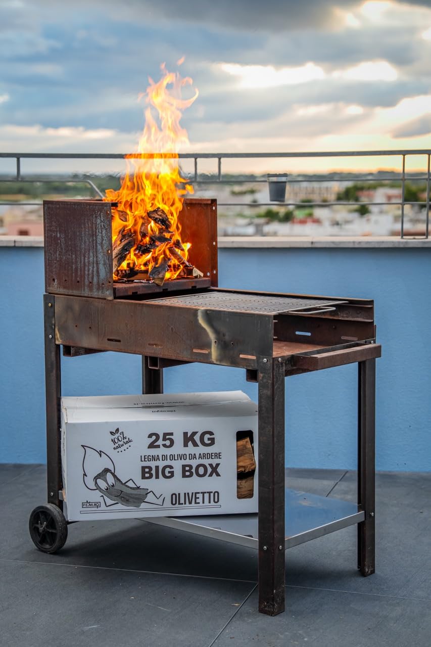 BIG BOX FEMIRO - Legna da ardere in SCATOLE da 25 Kg. Legna di olivo su bancale ideale per camini, stufe, forni, pizzerie e barbecue. Confezioni da 25 a 500 kg. (50 Kg)