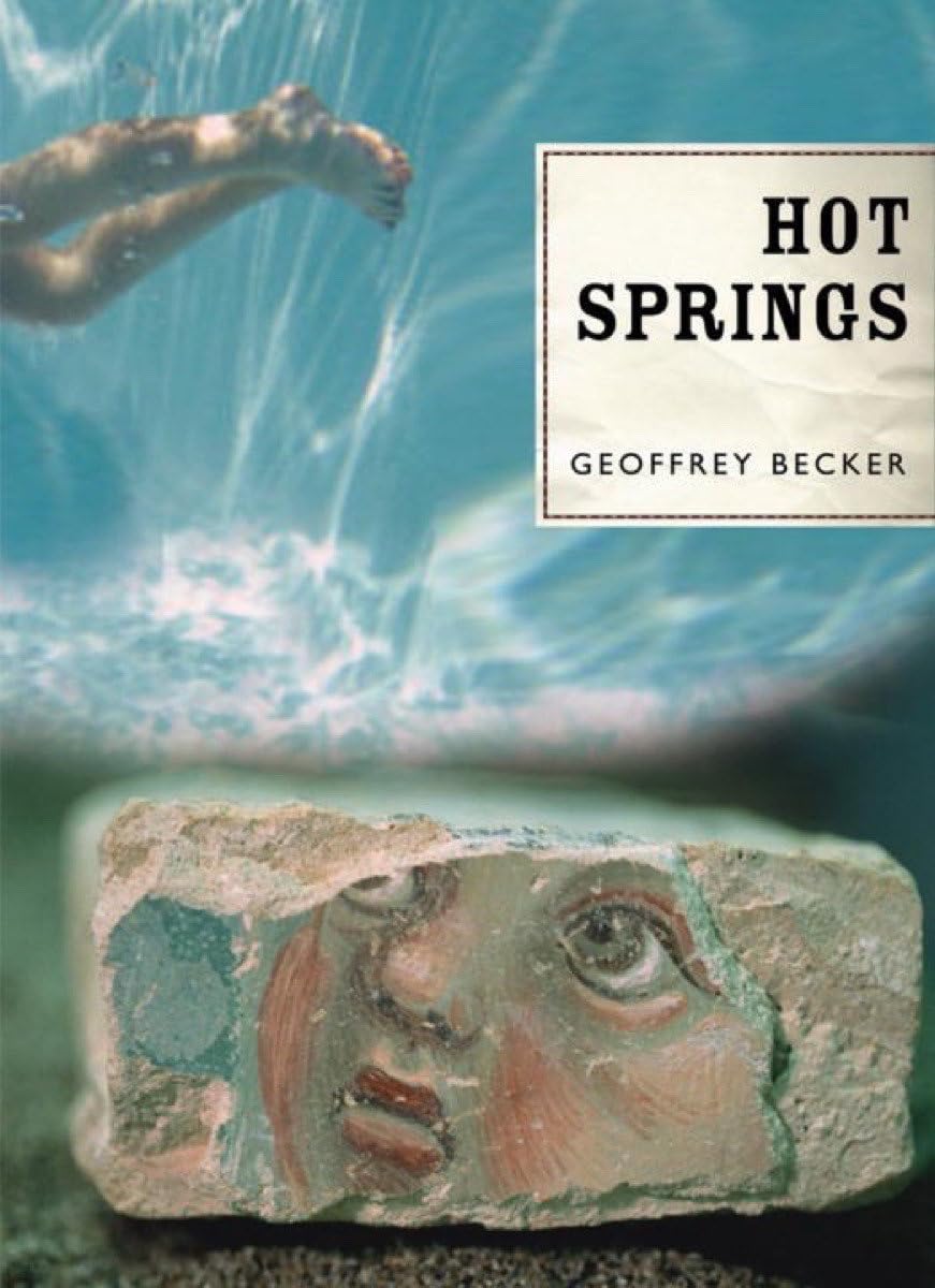 Buy Hot Springs — BookShops.in