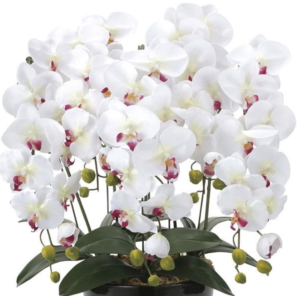 光触媒人工観葉植物 ホワイトポット付き V-CAT 【楽天市場】光触媒