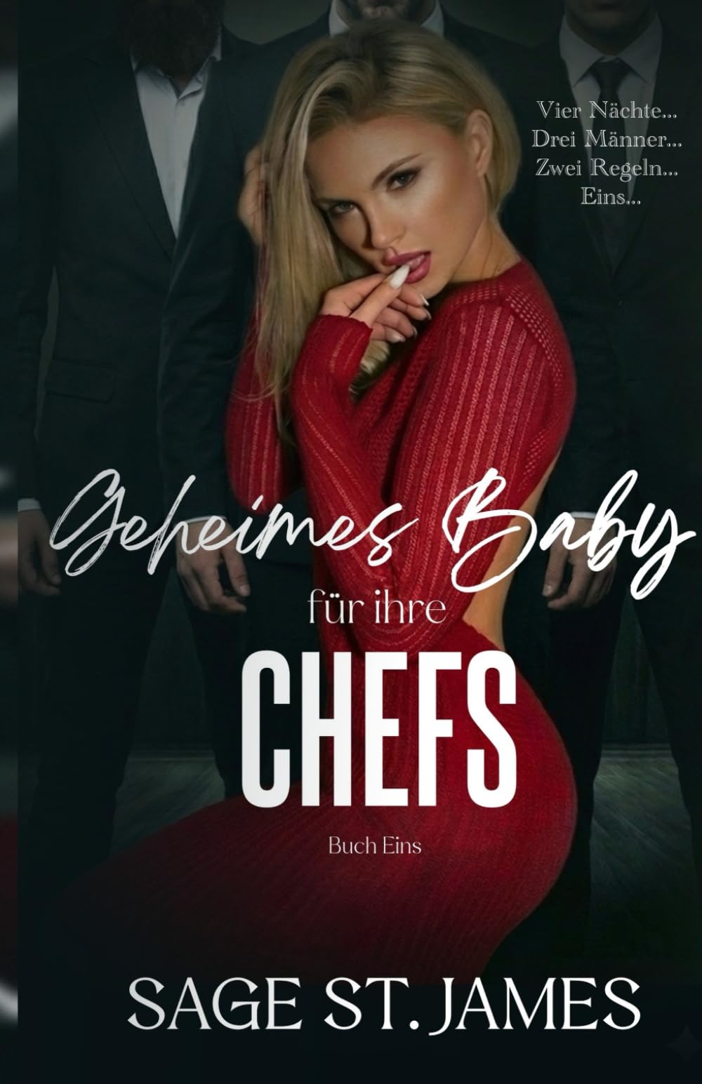 Geheimes Baby für ihre Chefs: Eine unbeabsichtigte Schwangerschaft, eine Reverse Harem Romanze