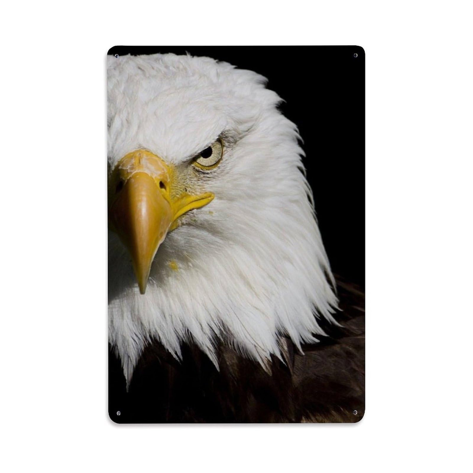 Wildlife Vintage Bald Eagle American National Bird Classic Metal Tin Sign Plaque Wall Decor for Cafe, Man Cave, Club Bar, Office, Home Garden Round Metal Poster 8x12Inch