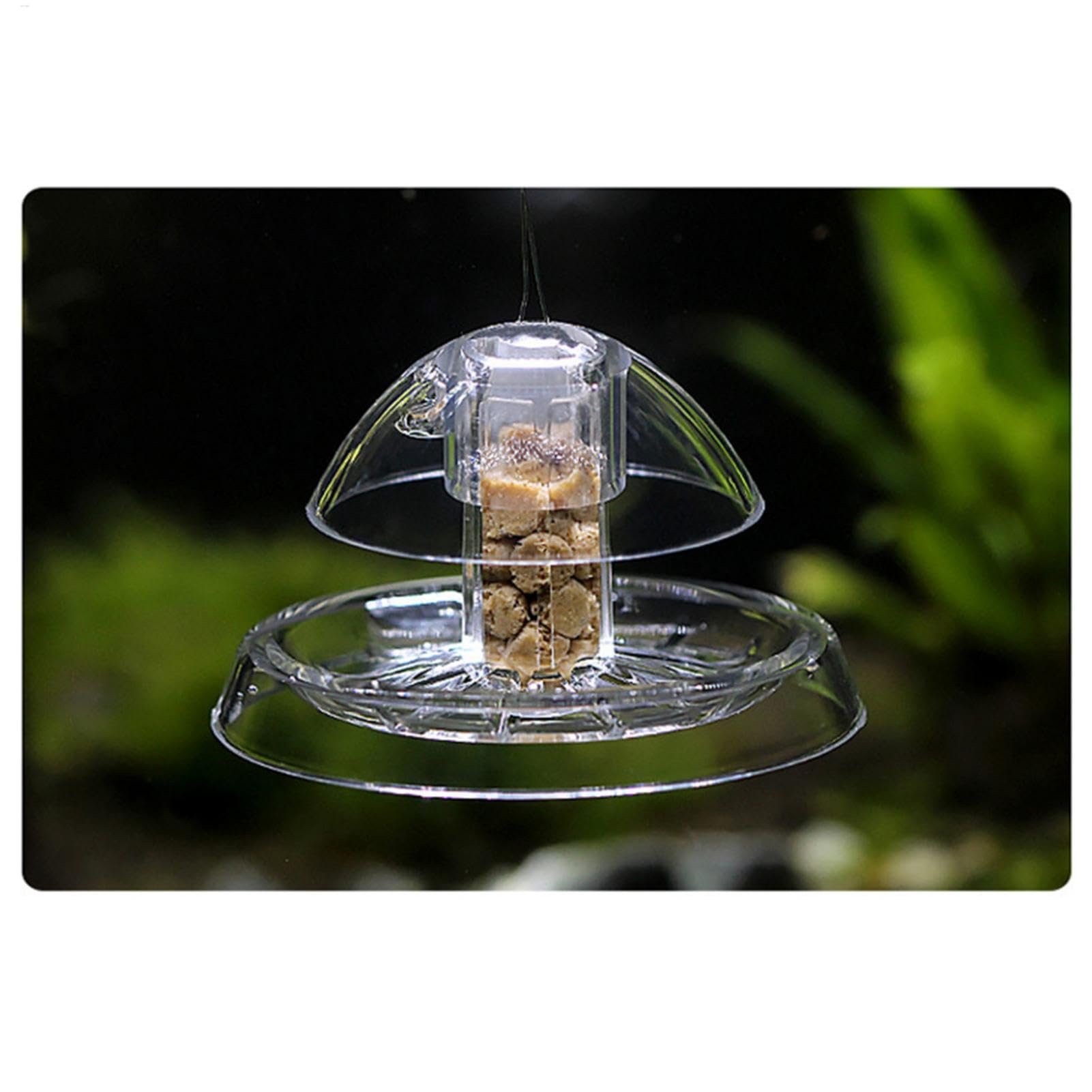 Trampa Para Caracoles De Acuario - Tamaño Pequeño (6x3,5 Cm) Y Grande (8x4,5 Cm), Diseño Con Agujero De Aire, Material Transparente