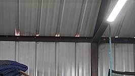 Review Image by raymonedds raymonedds