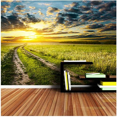 Amazon Xbwy 自然写真壁紙壁画壁紙3dリビングルーム用壁紙ロールスロイス田舎道夕日 250x175cm 壁紙