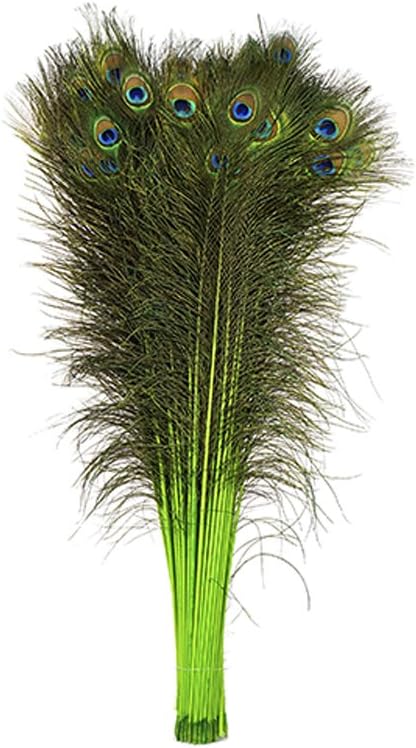 ZUCKER Feathers - Peacock Tail Eyes Stem Dyed - 25-40" - in Your Choice of Colors