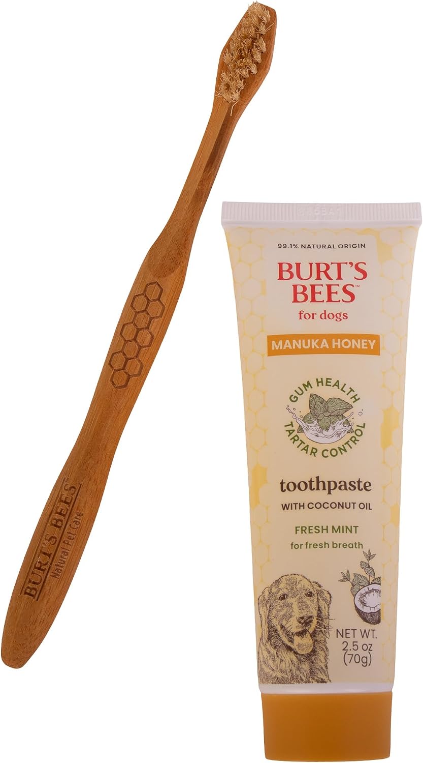 Burt's Bees Fresh Mint Dog Dental Kit with Bamboo Toothbrush & Toothpaste, 2.5 Oz