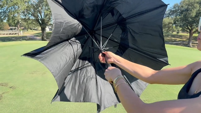 Amazon | NINEMAX ゴルフ傘 大型 防風 68インチ 雨用 高耐久 ビッグ