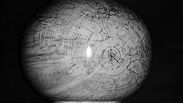 Review Image by EcoBiotics EcoBiotics