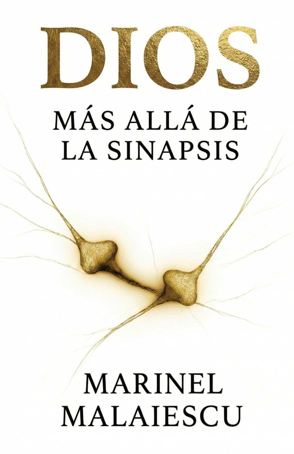 DIOS: Más allá de la sinapsis