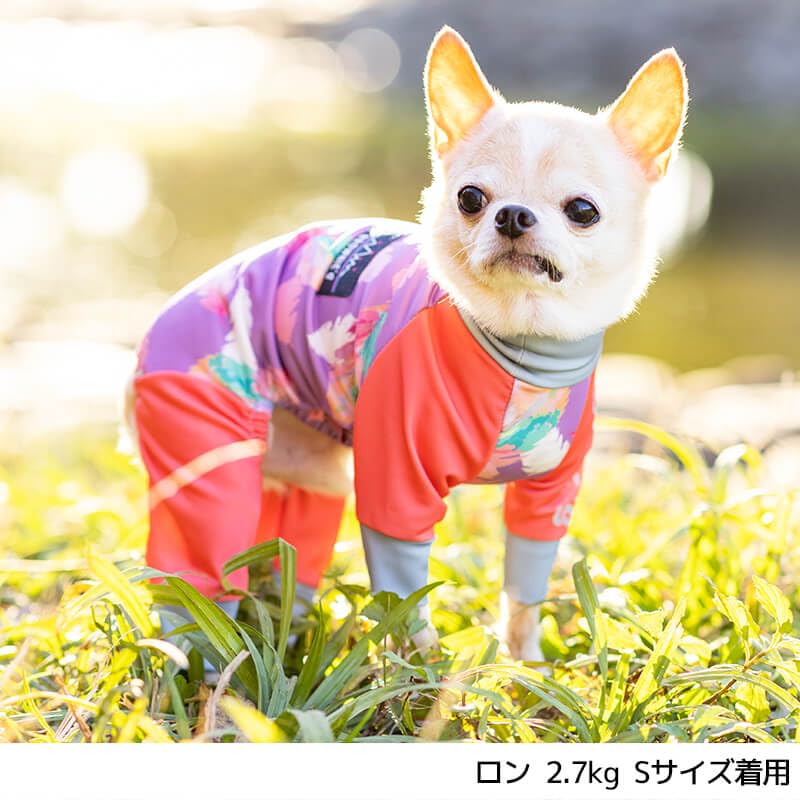 ブラウニーズ　ロンパース Amazon | アクティブロンパース S/M/L/XL/XXL/DXS/DS/DM BROWNIE'S