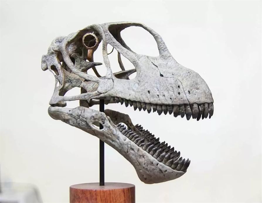 本物　ルゴプス(恐竜マジュンガサウルス科)大腿骨化石　台座付き マジュンガサウルス】共喰いすることも！ 頭に角が1本の肉食