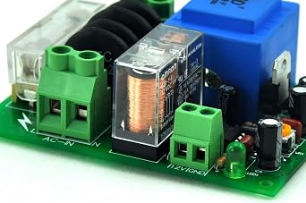 Electronics-Salon 115Vac Mains Power ON Delay Soft-Start Protection Module, with 12 Vdc Regulator.