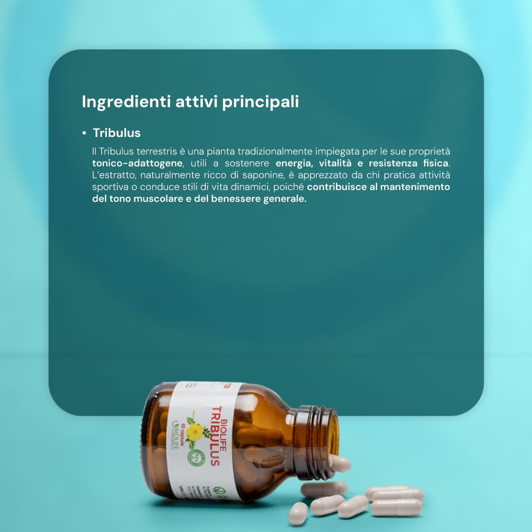 BIOLIFE Tribulus Terrestris | 60 capsule da 655 mg | Titolato 90% SAPONINE ATTIVE | Prodotto VEGANOK, tribulus terrestris alto dosaggio, integratore testosterone uomo, integratore naturale