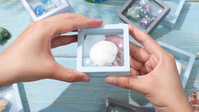貝殻の置物 Amazon.com: Juexica 9 Pcs Seashell Holder 3D Floating Display Box