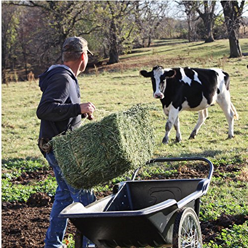 Polar Trailer #8376 Utility Cart, 65