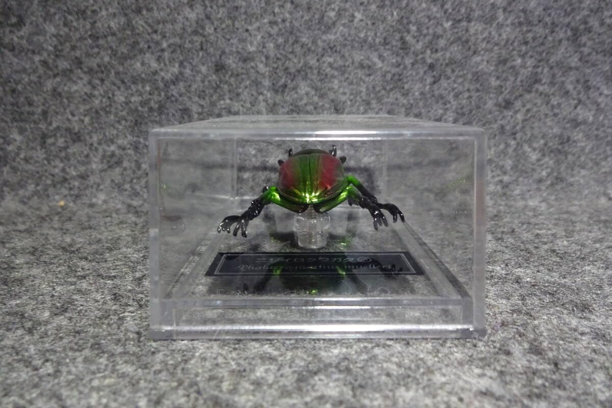 Amazon.co.jp: ニジイロクワガタ デアゴスティーニ 世界の昆虫 DATE