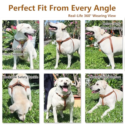 Image of Genuine Leather Dog Harness - Adjustable No Pull Harness with Soft Padded Chest, Heavy Duty Buckle, Brown, Medium Dogs