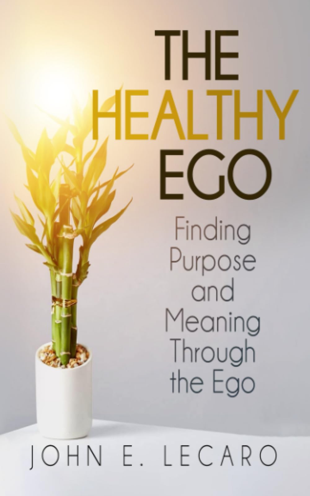 The Healthy Ego: Finding Purpose and Meaning Through the Ego