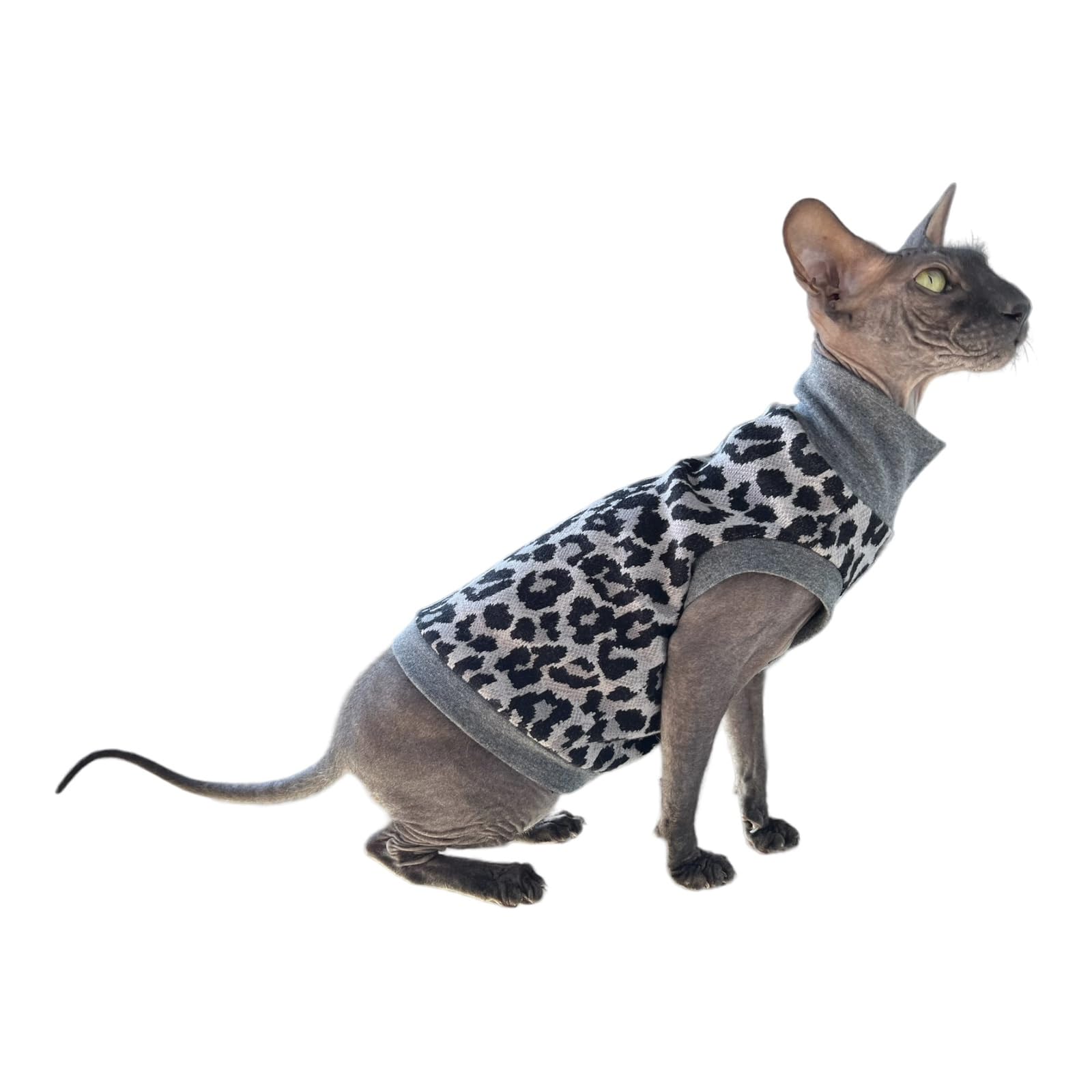 Kotomoda Cat's Cozy Comfort for Hairless Beauties: Winter