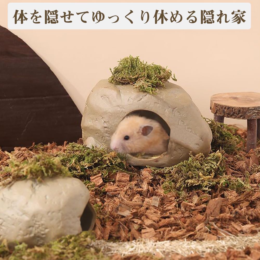 Amazon | IYOIYA ゴールデン ハムスター ハウス 陶器 大きい 素焼き