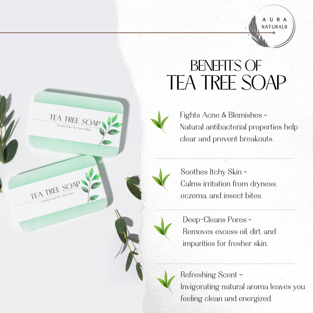 Aura Naturals Tea Tree Soap Bar - Set of 2, Natural Soap Bar for Face & Body Wash, Tea Tree Oil Soap with Anti Fungal Properties for Body Itching Acne Athlete's Foot Folliculitis 4 61jhKFy6TbL. AC SL1080