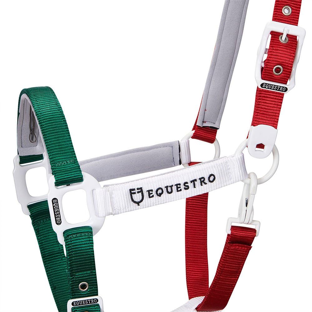 CAVEZZA "FLAGGY" E LUNGHINA (COB, VERDE/BIANCO/ROSSO)