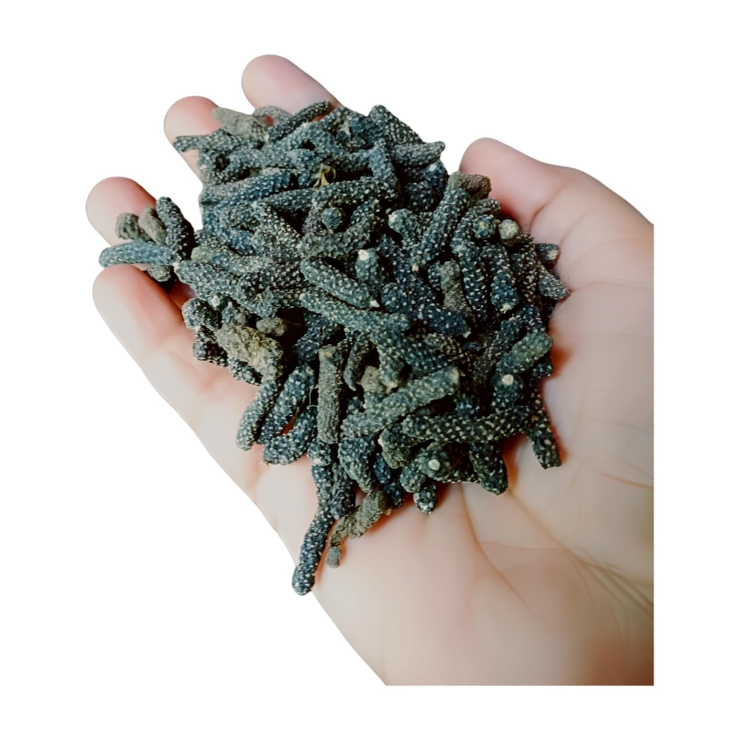 Vinarghya - Pan Pimpali/Lindi Pipali/Lendi Pilpali/Long Pepper/Pipar/Filfil Daraz/Pipli/Choti Pipali β 900g