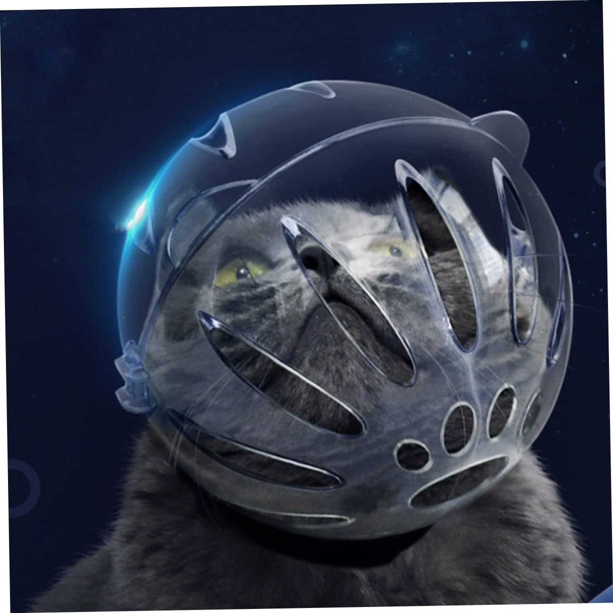 Toddmomy 3piezas Protector Transpirable para Gatos y Transparente Previene Mordeduras y Lameduras para Postquirúrgica