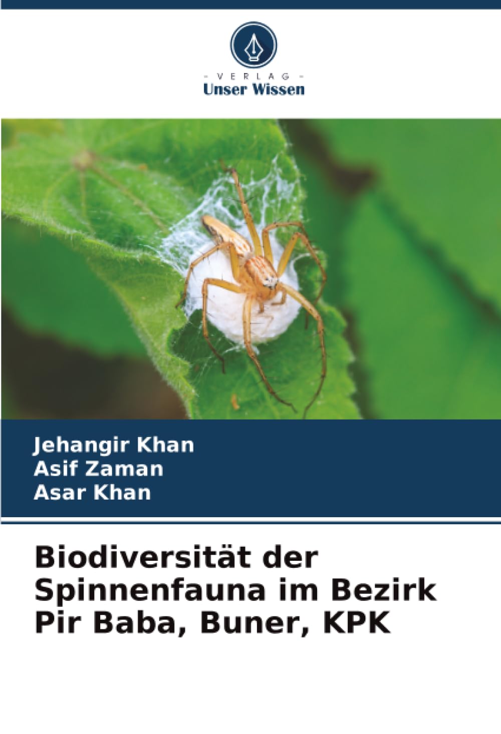 Biodiversität der Spinnenfauna im Bezirk Pir Baba, Buner, KPK