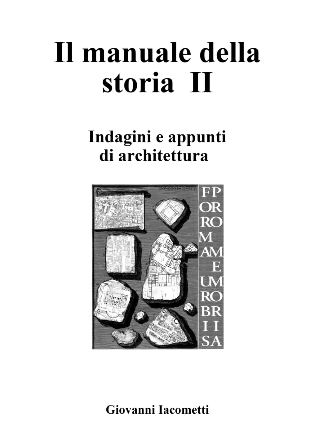 Il manuale della storia II. Indagini e appunti