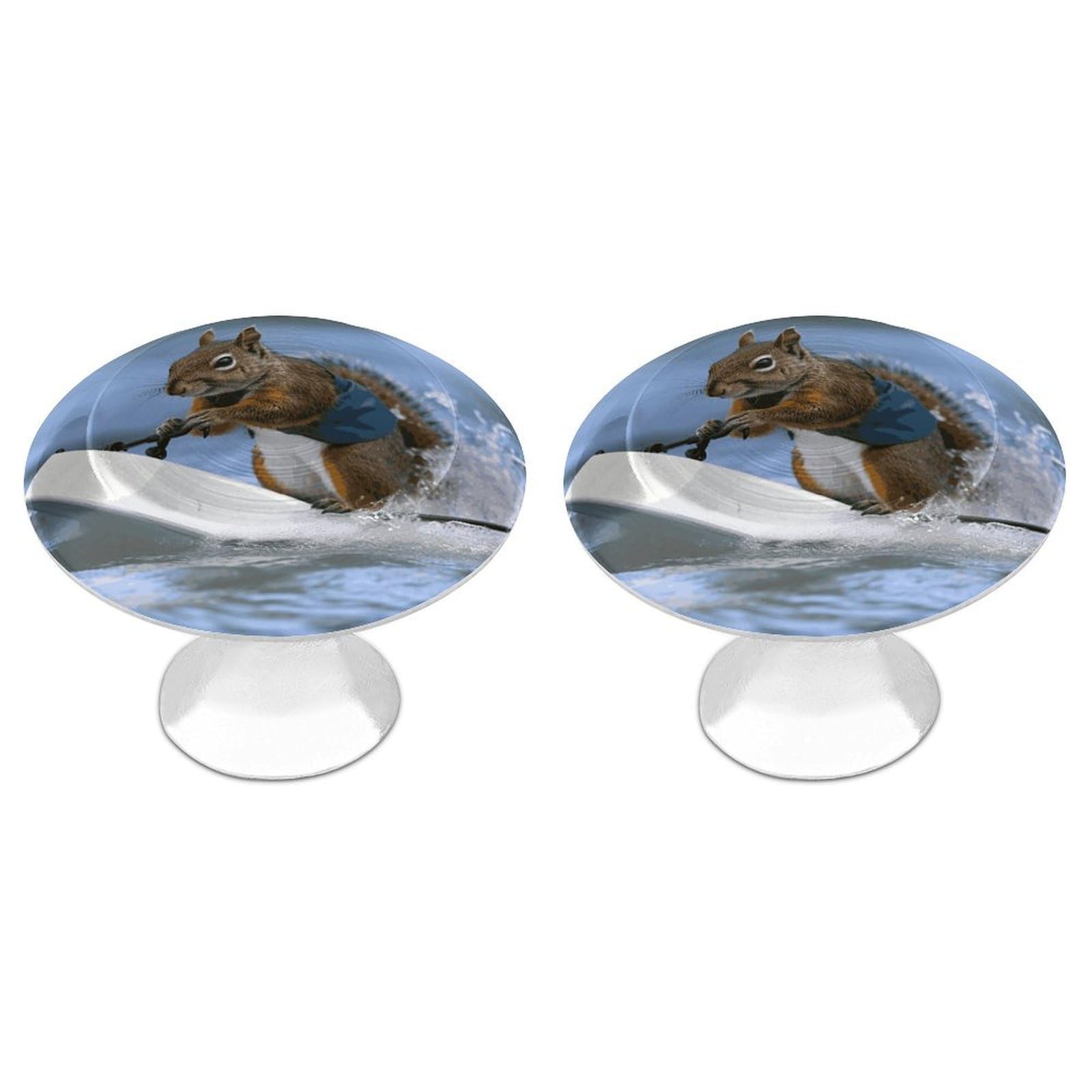LDGSUPH Water Skiing Squirrel Drawer Pulls Exquisite Round Cabinet Knobs Closet Door Pulls Sturdy Stainless Steel Door Handle Dresser Drawer Knobs Cabinet Handles for Furniture Pull 2pcs